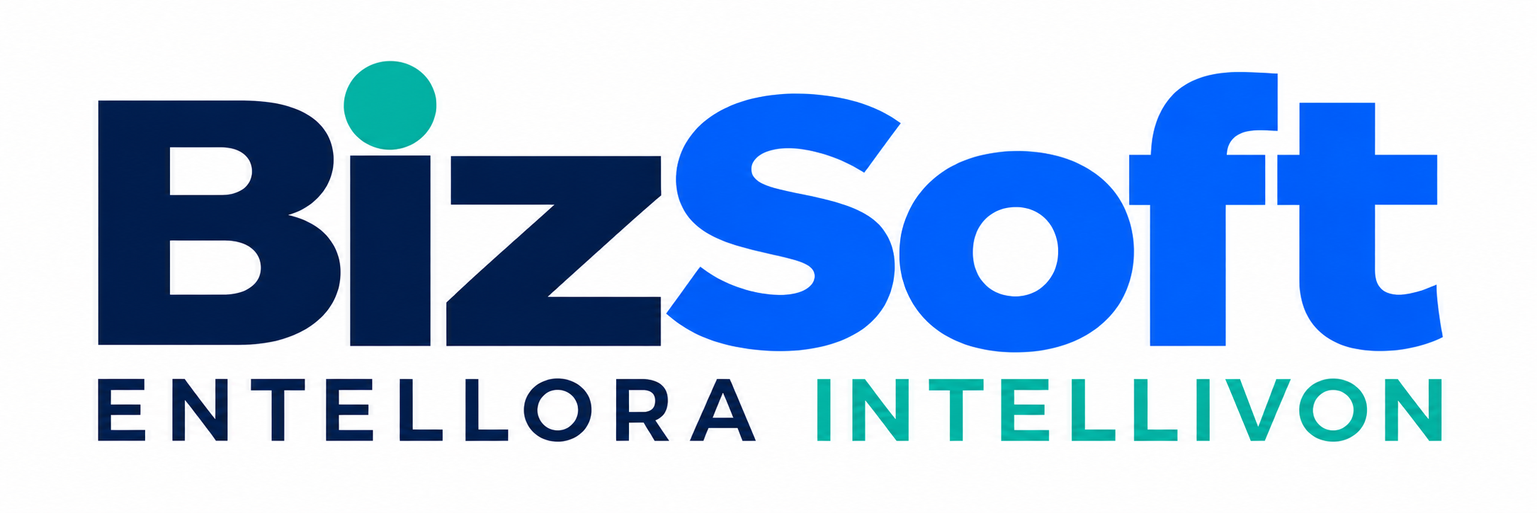 bizsoft corporate logo